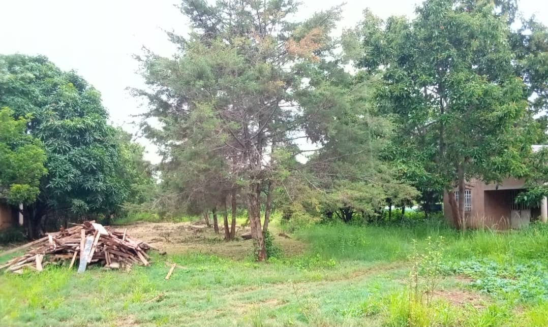 Ferme · 1000 pièces – photo 1