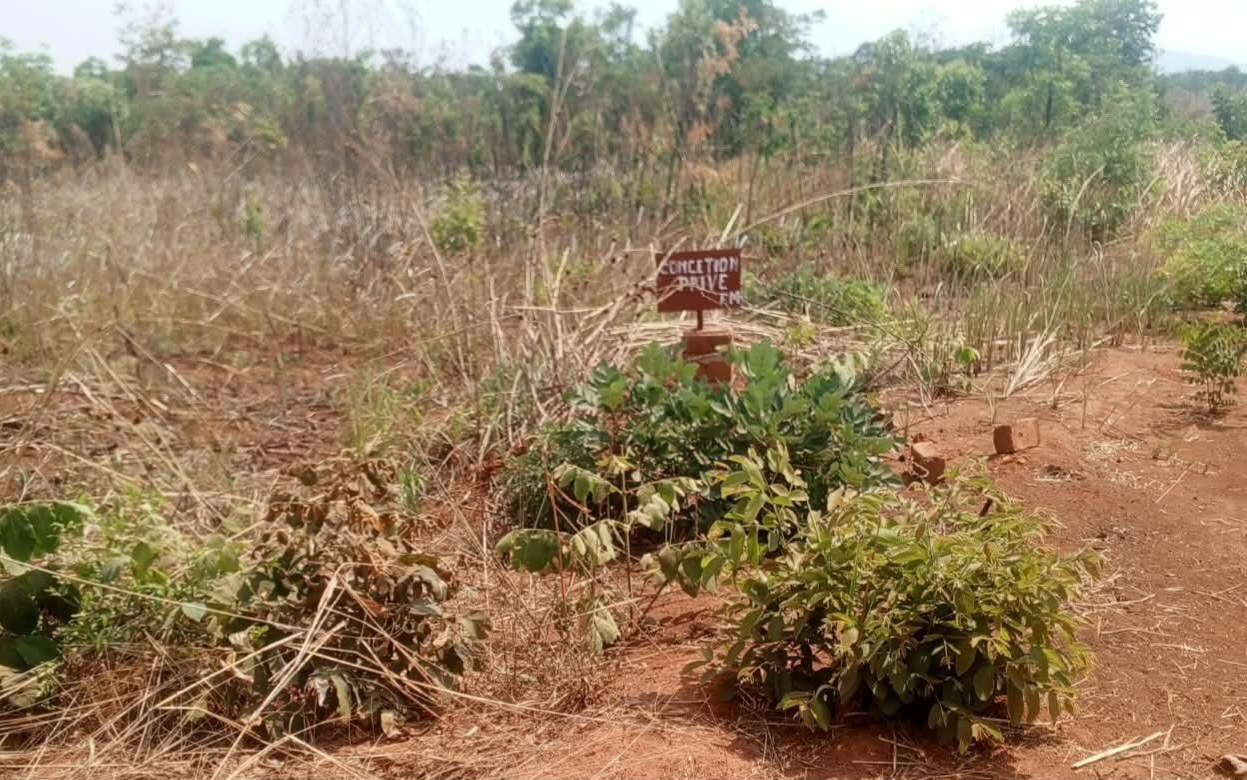 Champ · 27 pièces – Tumbwe, Annexe, Lubumbashi